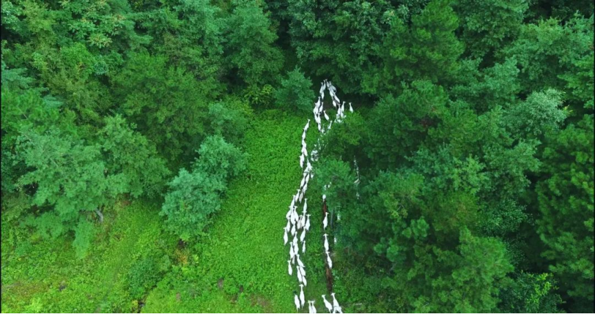 1654830221890046665.png image.png